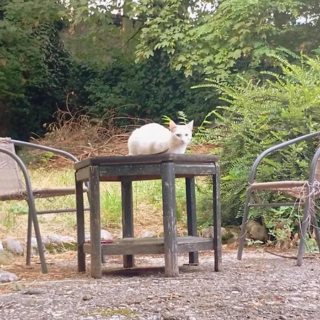 Planet Διαμέρισμα